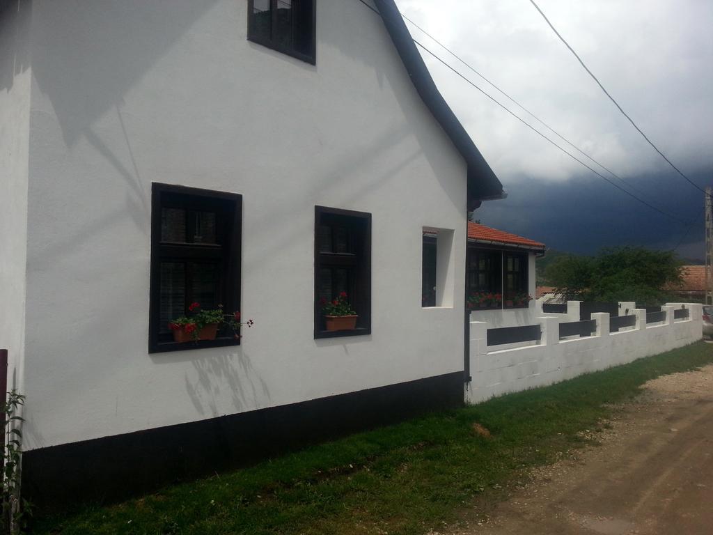 Hotel Casa Demeter Rimetea Exterior foto